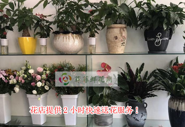 凉山州普格县花店提供凉山州普格县2小时快速送花服务